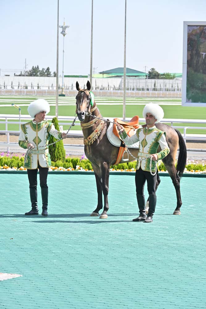 President of Turkmenistan took part in festivities on the occasion of the national holiday of the Turkmen horse